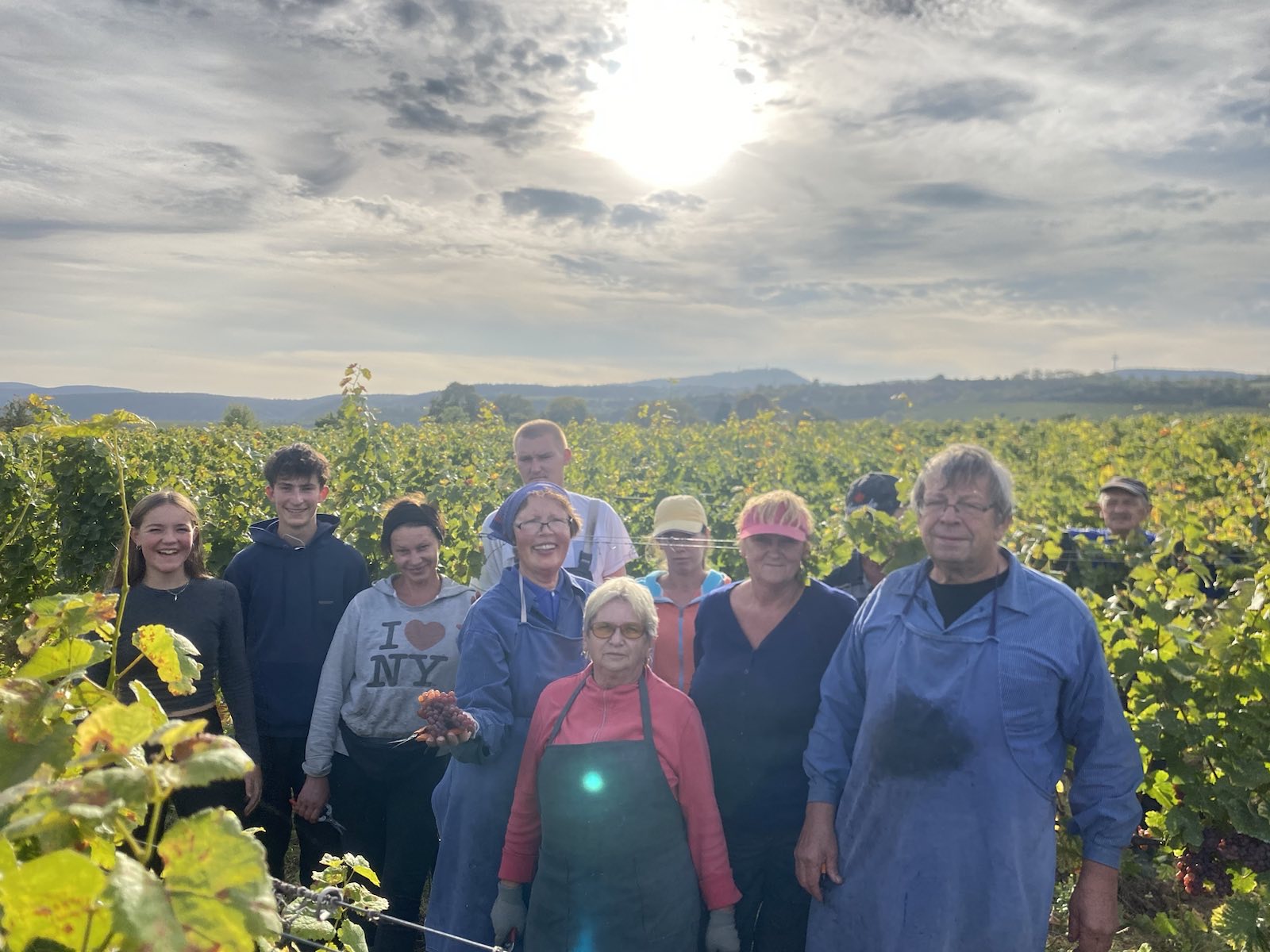 Menschen bei der gemeinsamen Arbeit im Weinberg